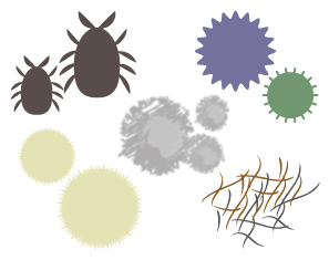 ダニや埃のイラスト